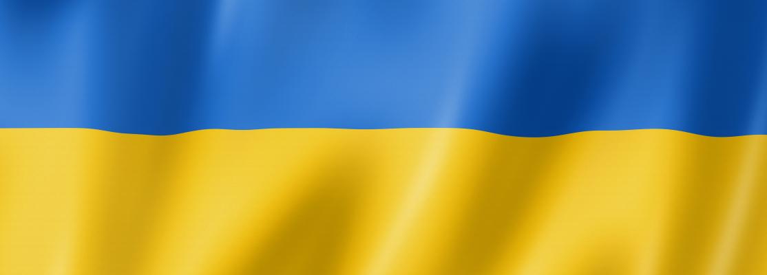 Ukrainian flag