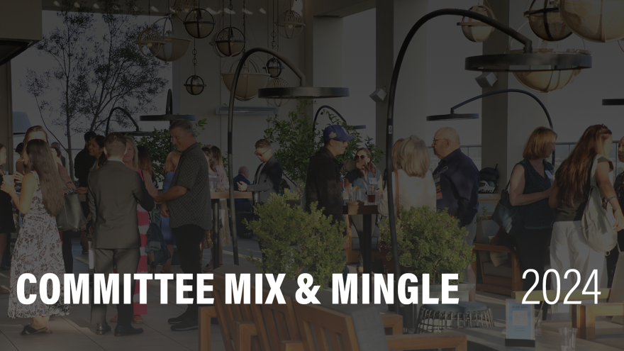 Committee Mix & Mingle 2024