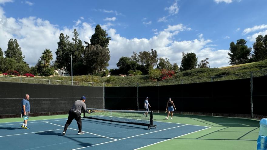 Pickle Ball 2024